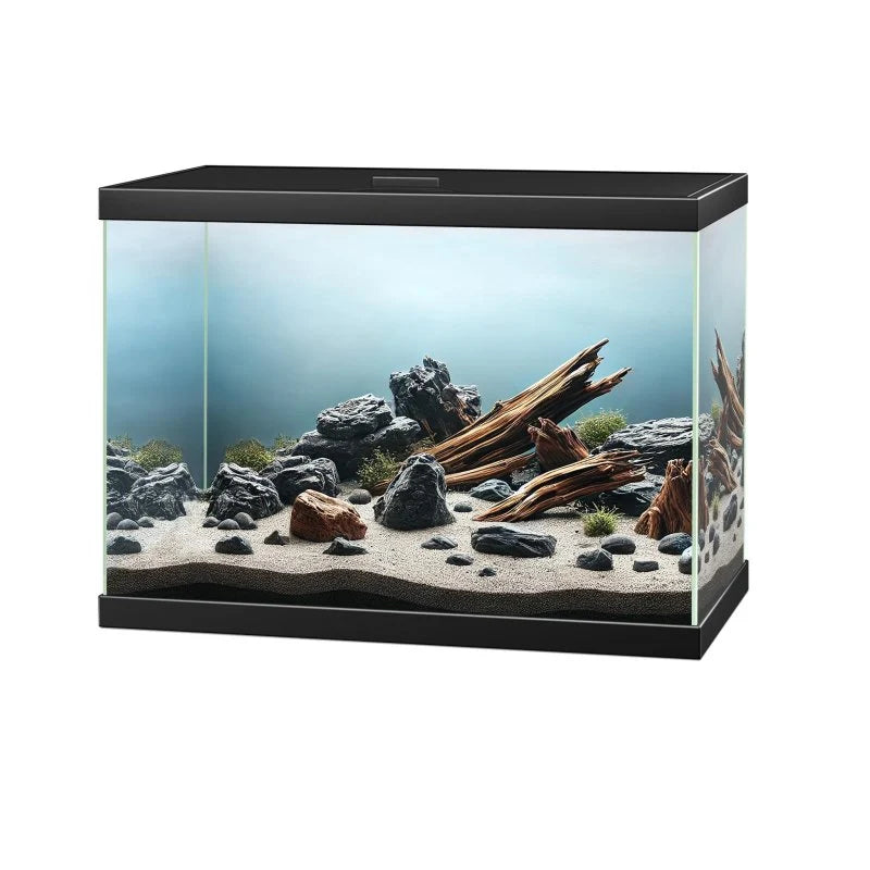 Ciano Aqua 20 LED Black