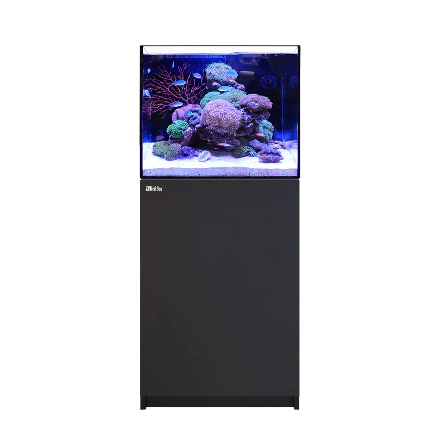 REEFER 170 G3 Black