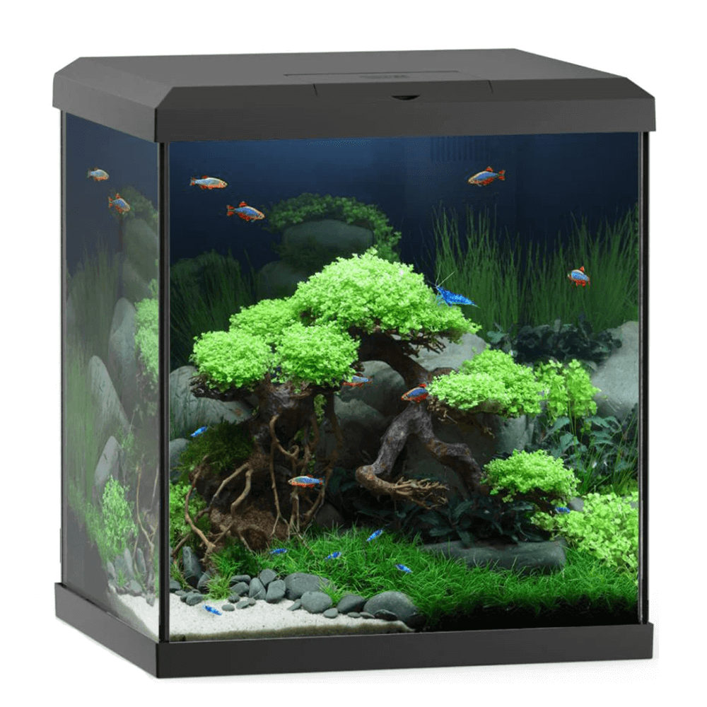 Juwel Vio Cube 54 Black