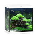 Juwel Vio Cube 54 White