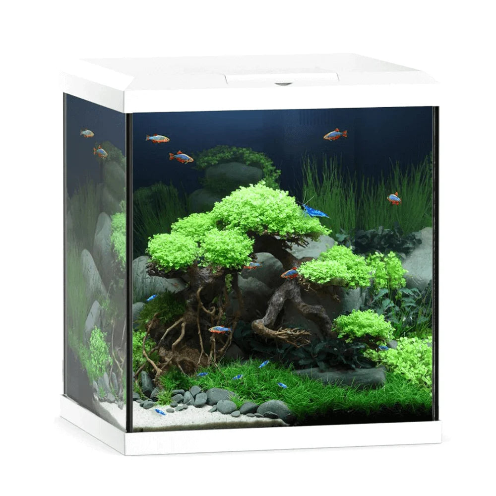 Juwel Vio Cube 54 White