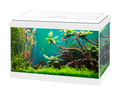 Ciano Aqua 20 LED White