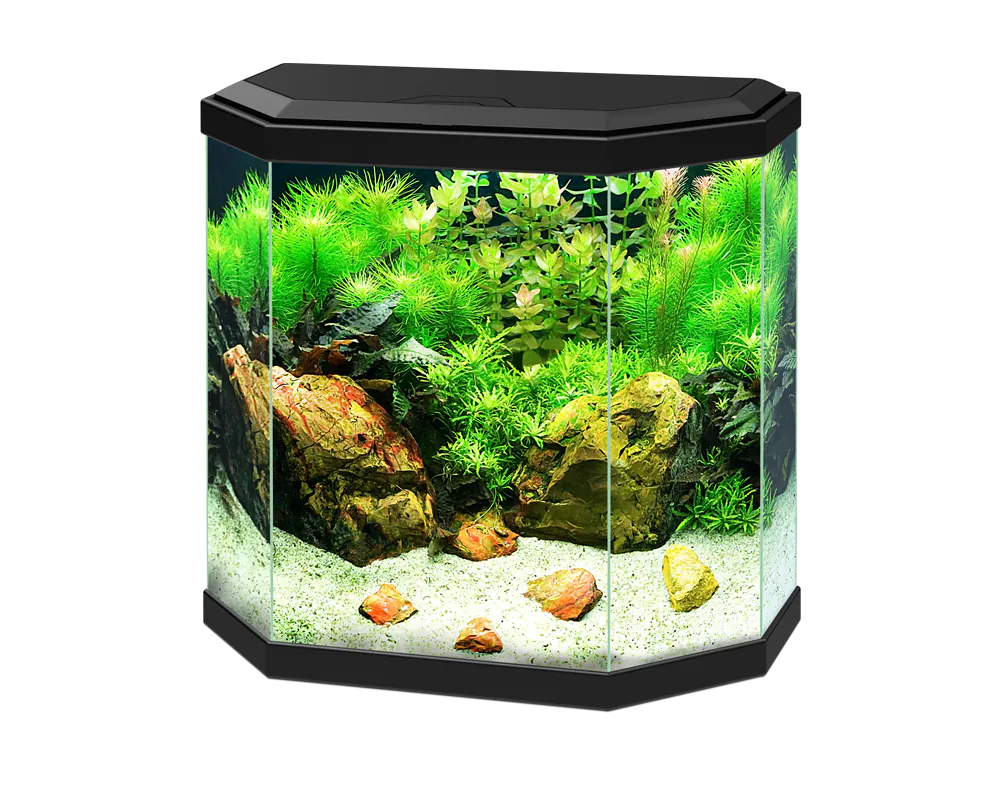 Ciano Aqua 30 LED Black