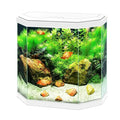 Ciano Aqua 30 White