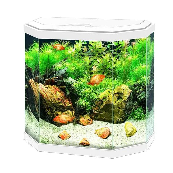 Ciano Aqua 30 White
