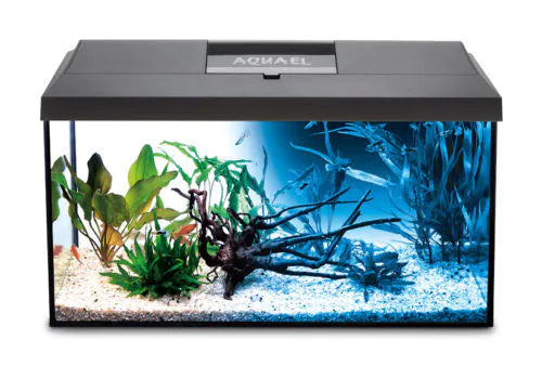 Aquael Leddy 60 Black 54 Litres
