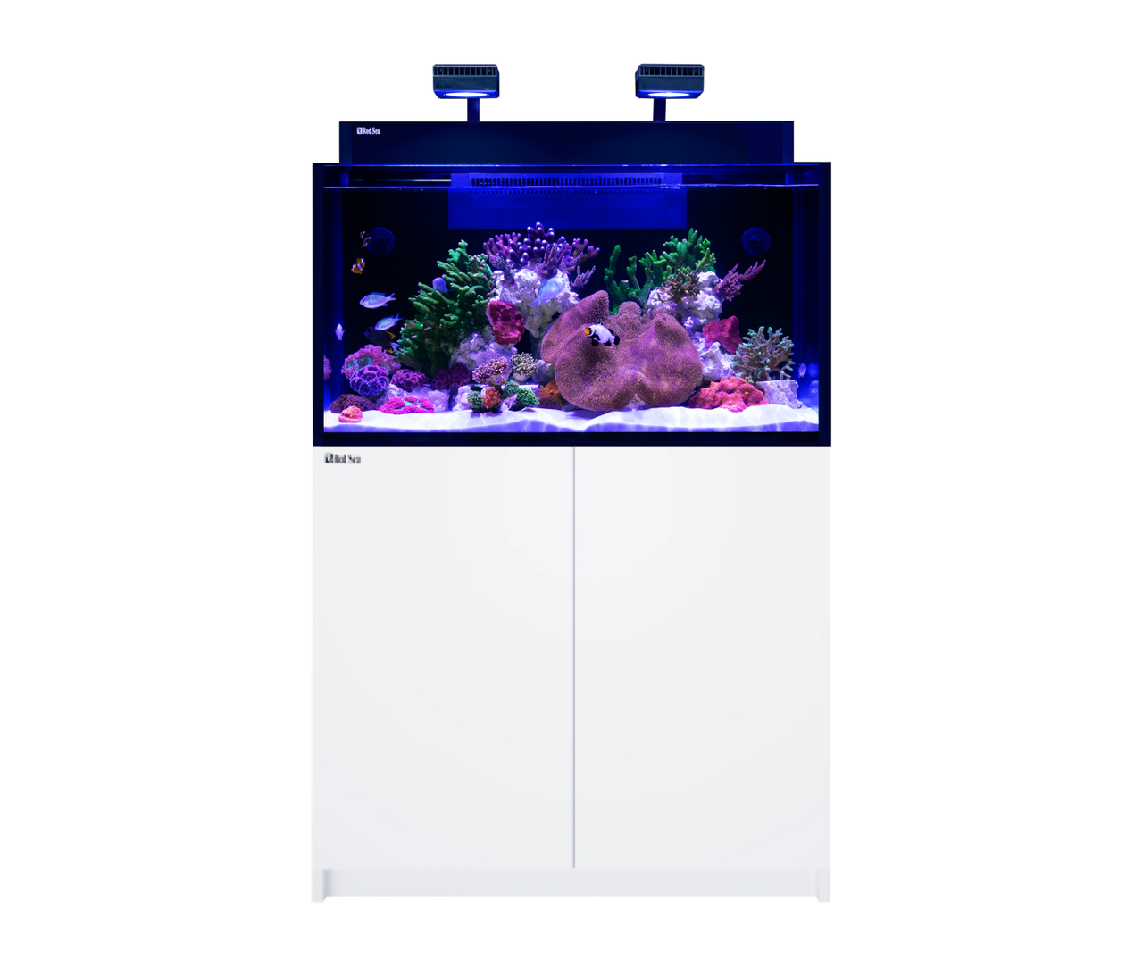 MAX NANO G2 XXL - White