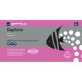 Gamma Slice Daphnia Flat pack 250g (**Outer Qty 40**)