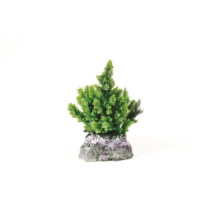 Natureform Coral Staghorn Green Acropora sp.