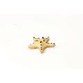 Natureform Coral Choc Chip Starfish Protoreaster sp.