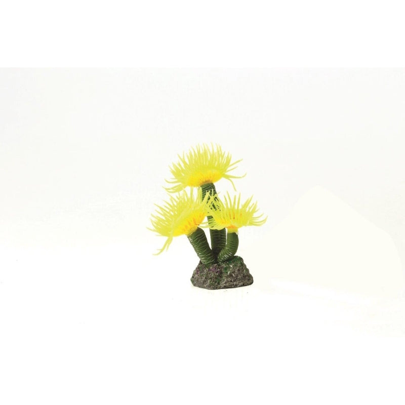 Natureform Coral Feather Duster Yellow Sabellastarte sp.