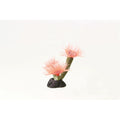 Natureform Coral Feather Duster Pink Sabellastarte sp.