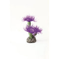 Natureform Coral Feather Duster Purple Sabellastarte sp.