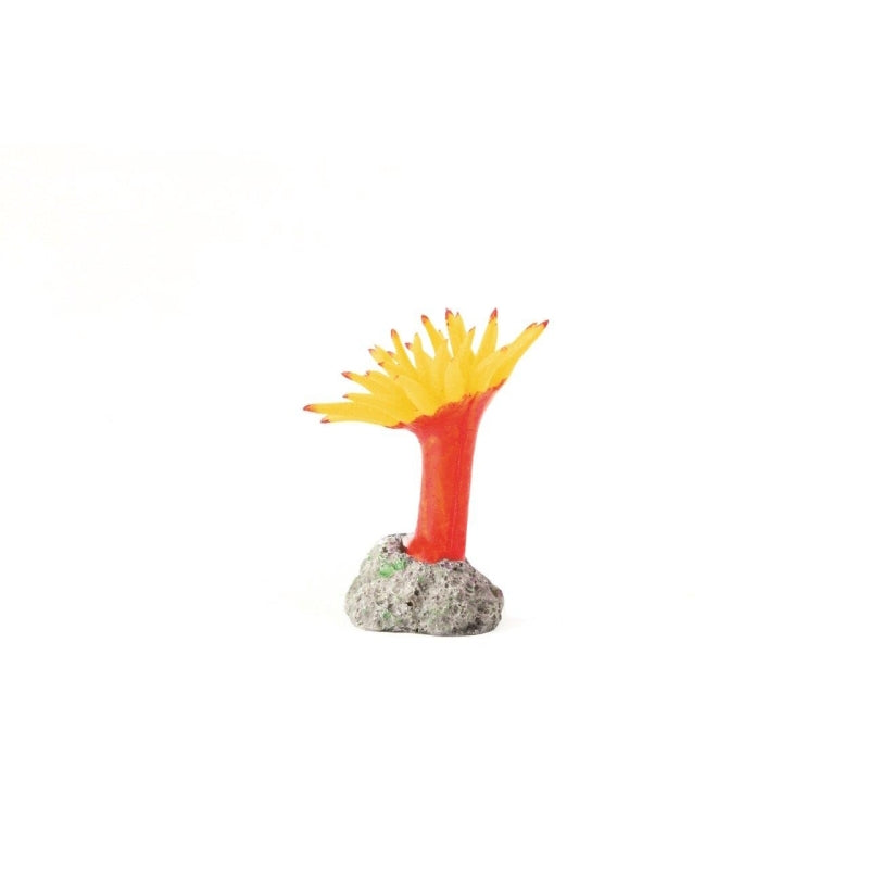 Natureform Coral Mini Carib. Anemone Yellow Condylactis sp.