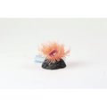 Natureform Coral Mini Anemone Mushroom Pink Anemonia sp.
