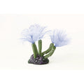 Natureform Coral Feather Duster Blue Bispira sp.
