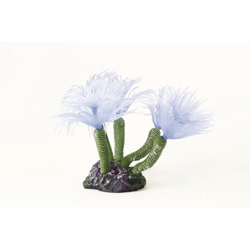 Natureform Coral Feather Duster Blue Bispira sp.