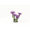 Natureform Coral Midnight Duster Purple Sabellastarte sp.