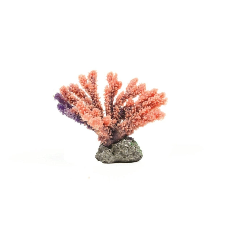 Natureform Coral Staghorn Purple Acropora sp.