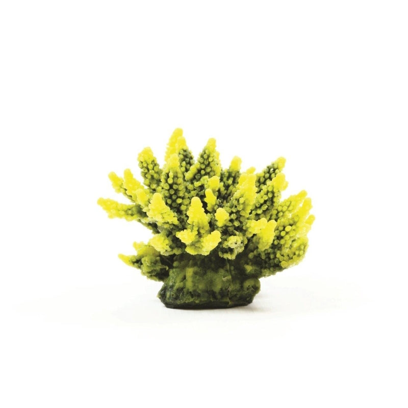 Natureform Coral Staghorn Yellow/Green Acropora sp.