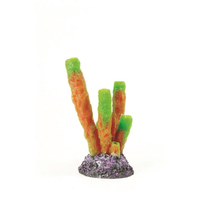 Natureform Coral Pipe sp.onge Green/Red Aplysina sp.
