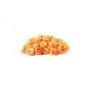 Natureform Coral Sun Coral Yellow/Orange Tubastrea sp.