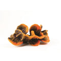Natureform Coral Cup Orange/Blue Tubinaria sp.