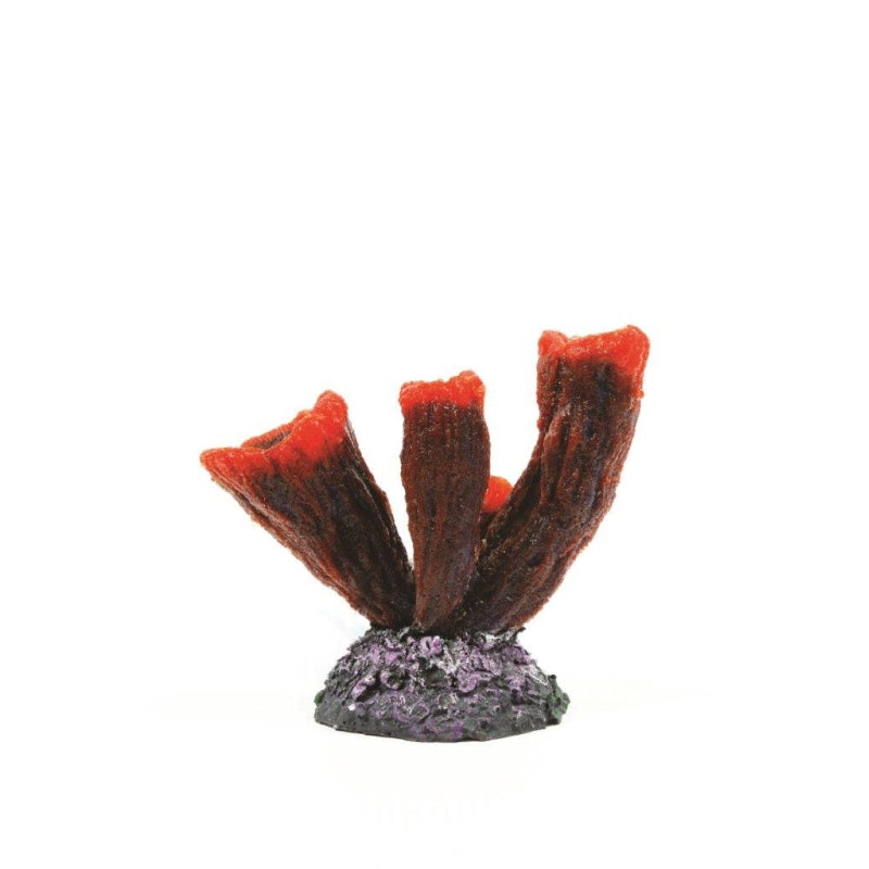 Natureform Coral Vase sp.onge Red Niphates sp.