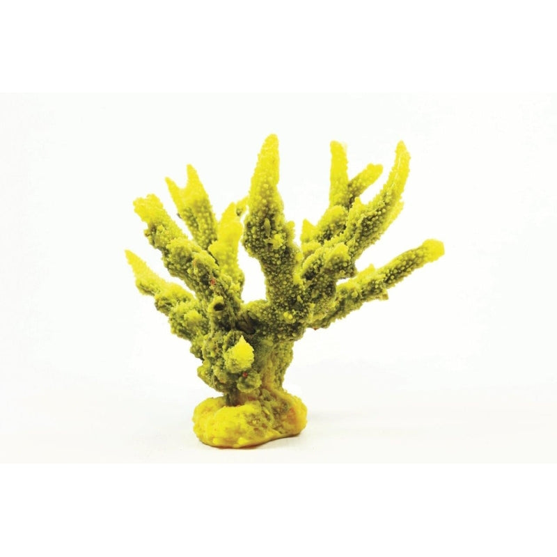 Natureform Coral Staghorn Branch Yellow/Purple Acropora sp.