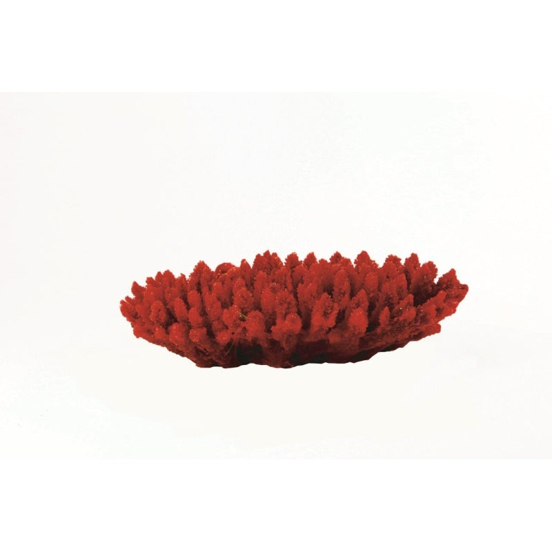 Natureform Coral Staghorn Red/Purple Acropora sp.
