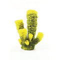 Natureform Coral Tube sp.onge Yellow/Green Aplysina sp.