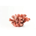 Natureform Coral Cauliflower Red Pocillopora sp.
