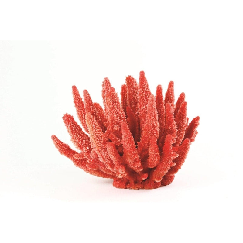 Natureform Coral Staghorn Red/Brown Acropora sp.