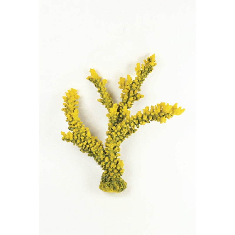 Natureform Coral Staghorn Branch Yellow Acropora sp.