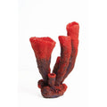Natureform Coral Vase sp.onge Pink/Purple Niphates sp.