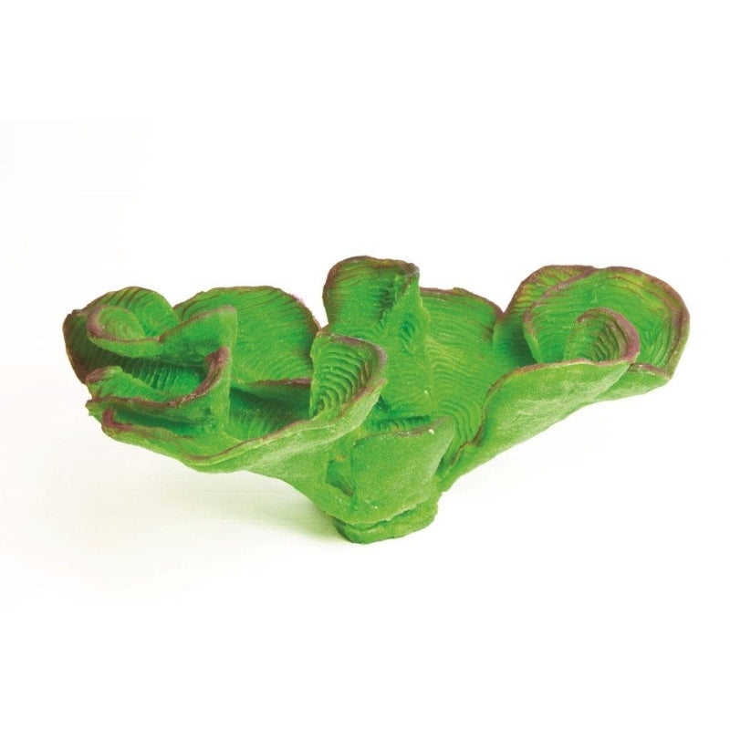 Natureform Coral Antler Dark Green Montipora sp.