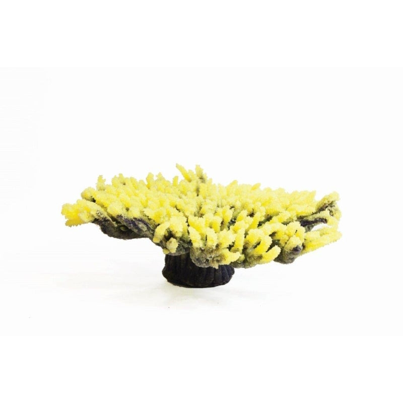 Natureform Coral Staghorn Dark Green Acropora sp.