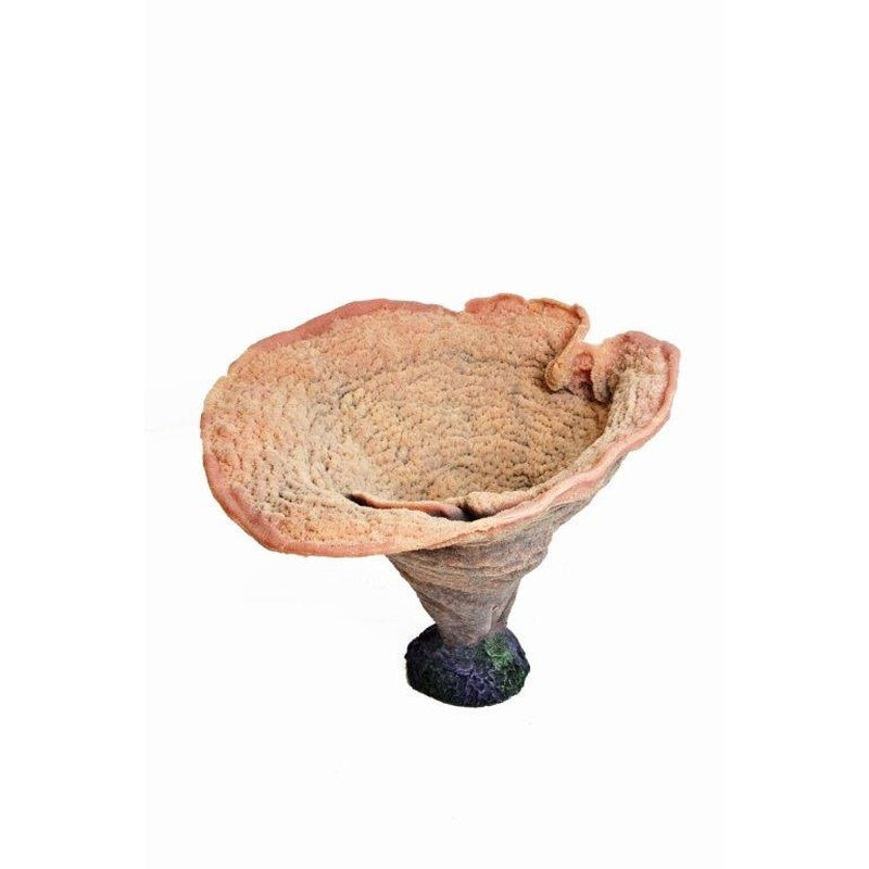 Natureform Coral Plating Antler Pink Montipora sp.