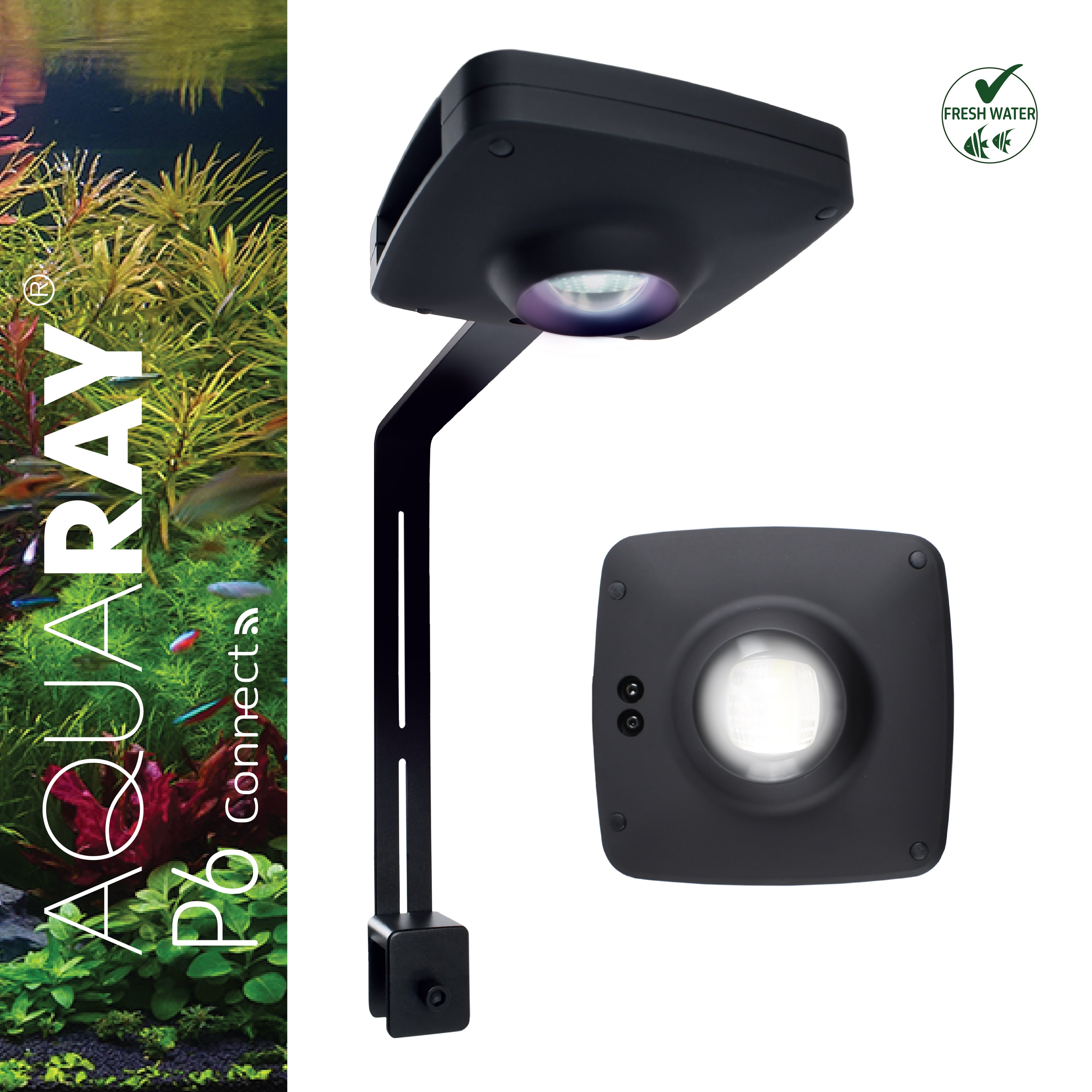 AquaRay P6 Freshwater Connect