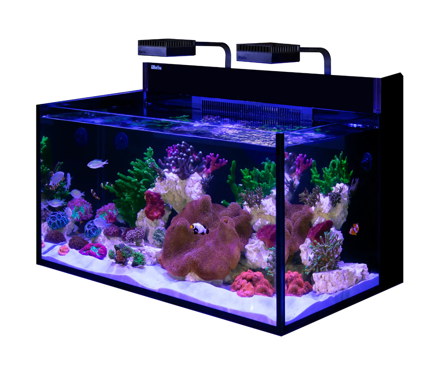 MAX NANO G2 XXL - excl. cabinet