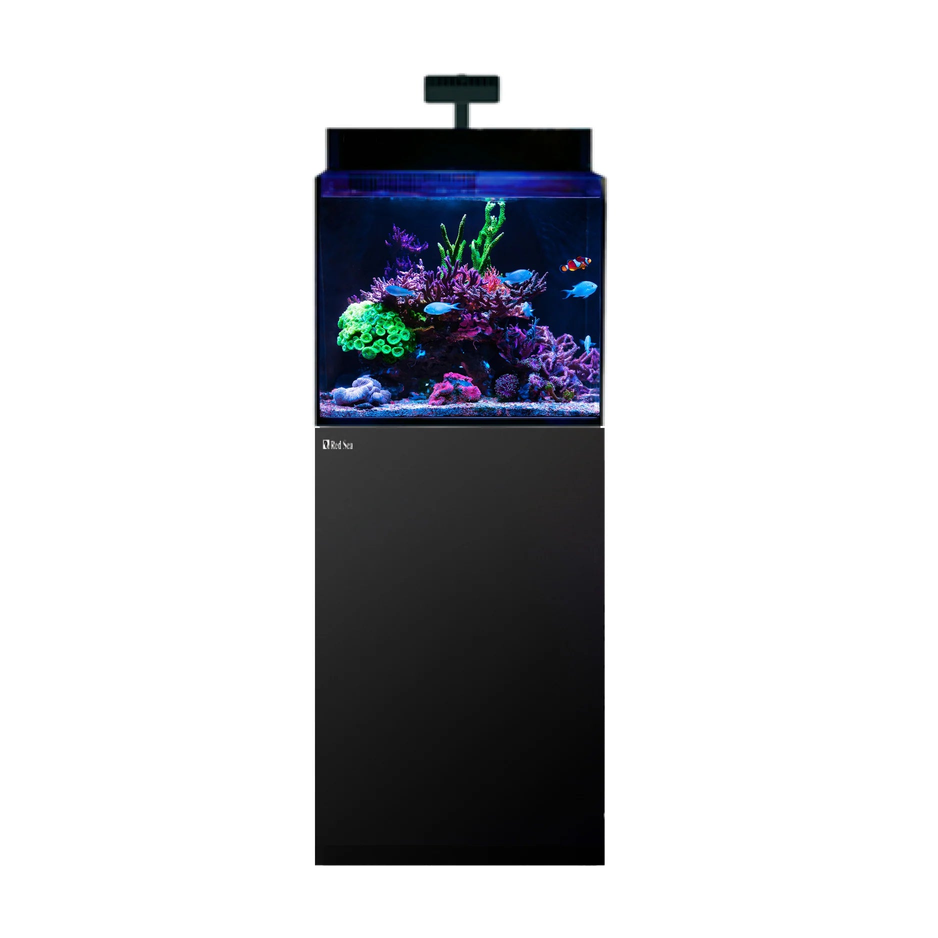 MAX® Nano G2 XL - Black