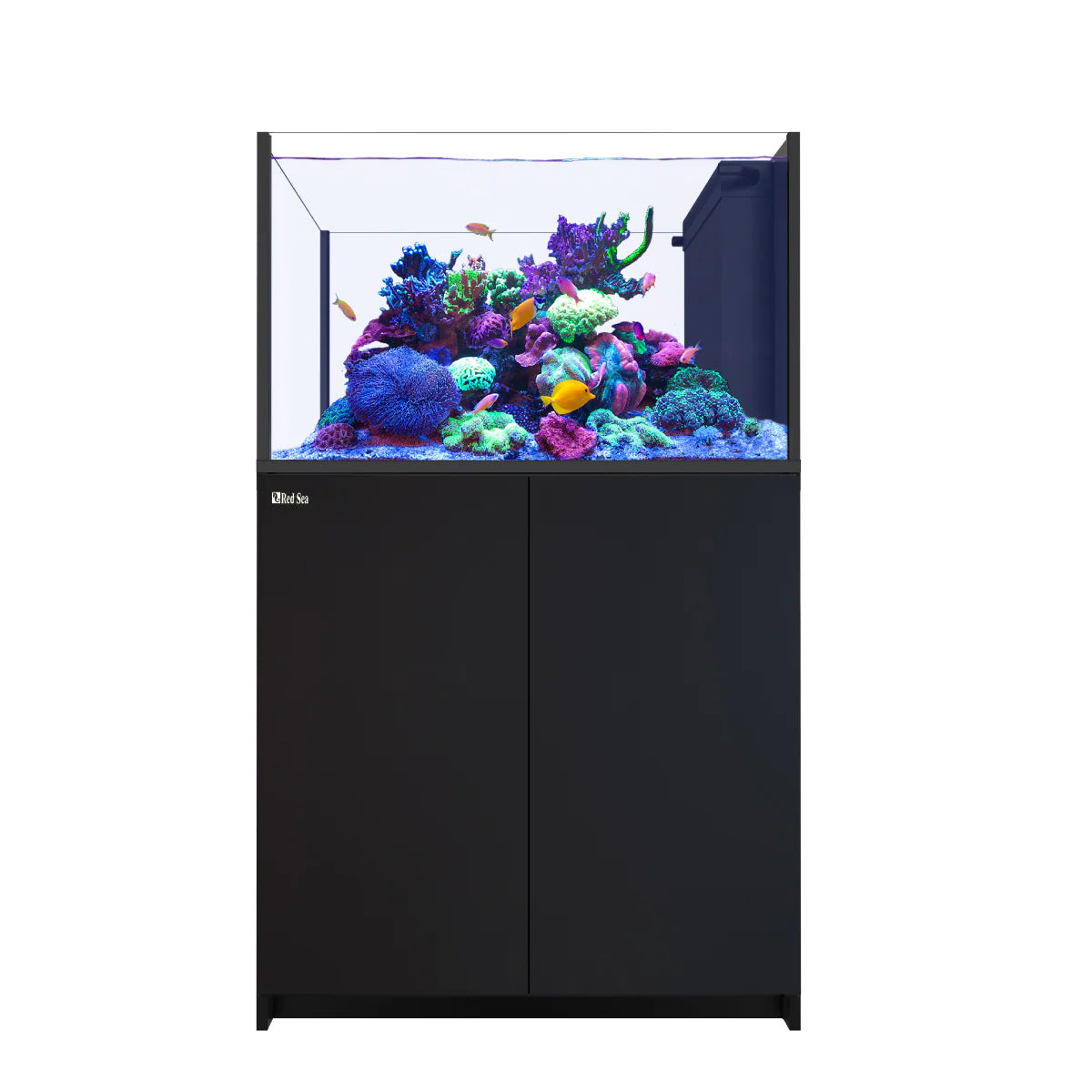 REEFER Peninsula 350 G3 Black