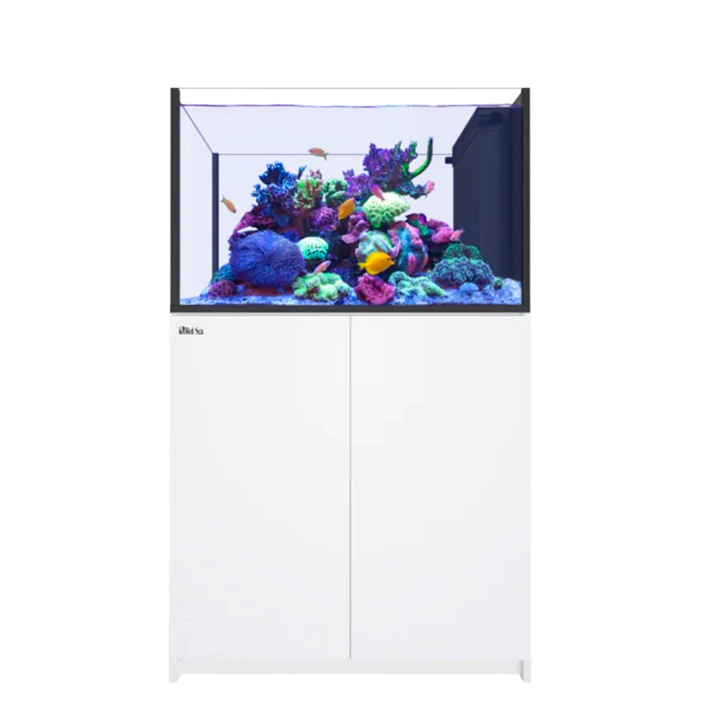 REEFER MAX Peninsula 350 G3 White
