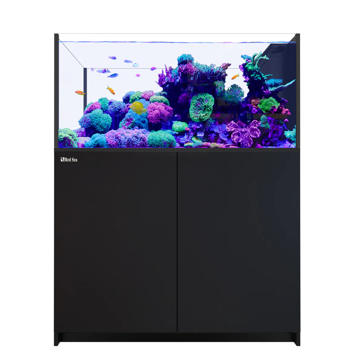 REEFER Peninsula 500 G3 Deluxe - Black (incl. 2 X RL170 & pendant)