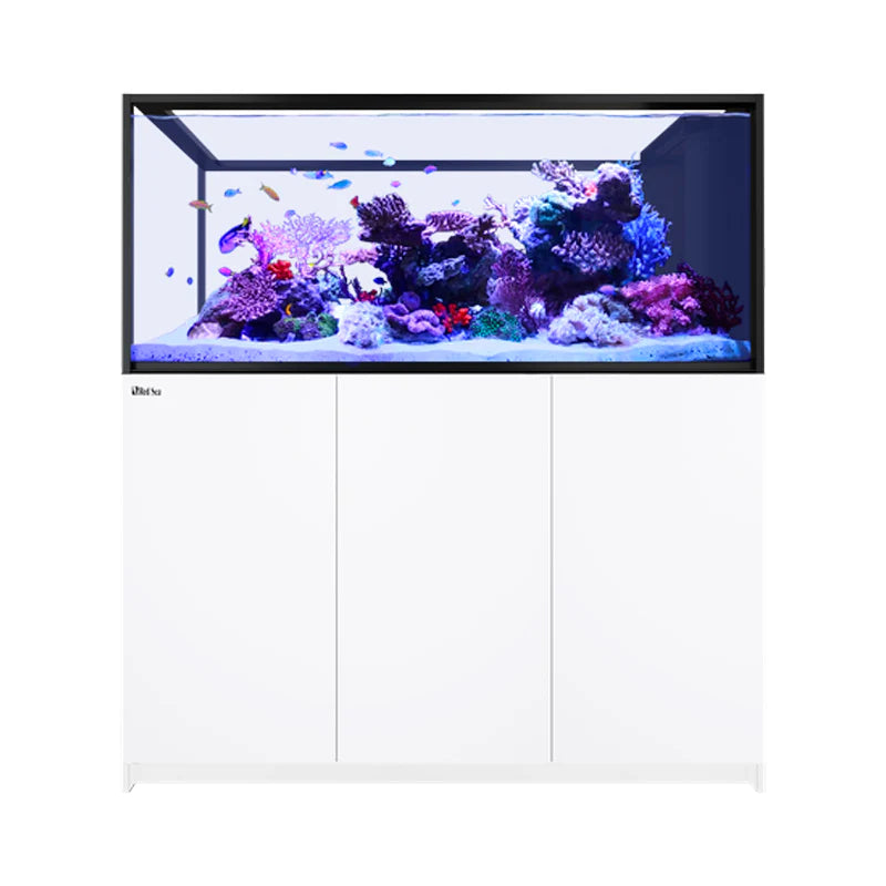 REEFER MAX Peninsula S-700 G3 White