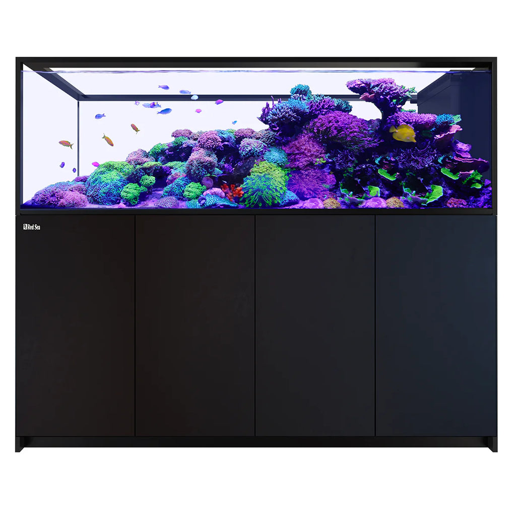 REEFER Peninsula S 950 G3 Black