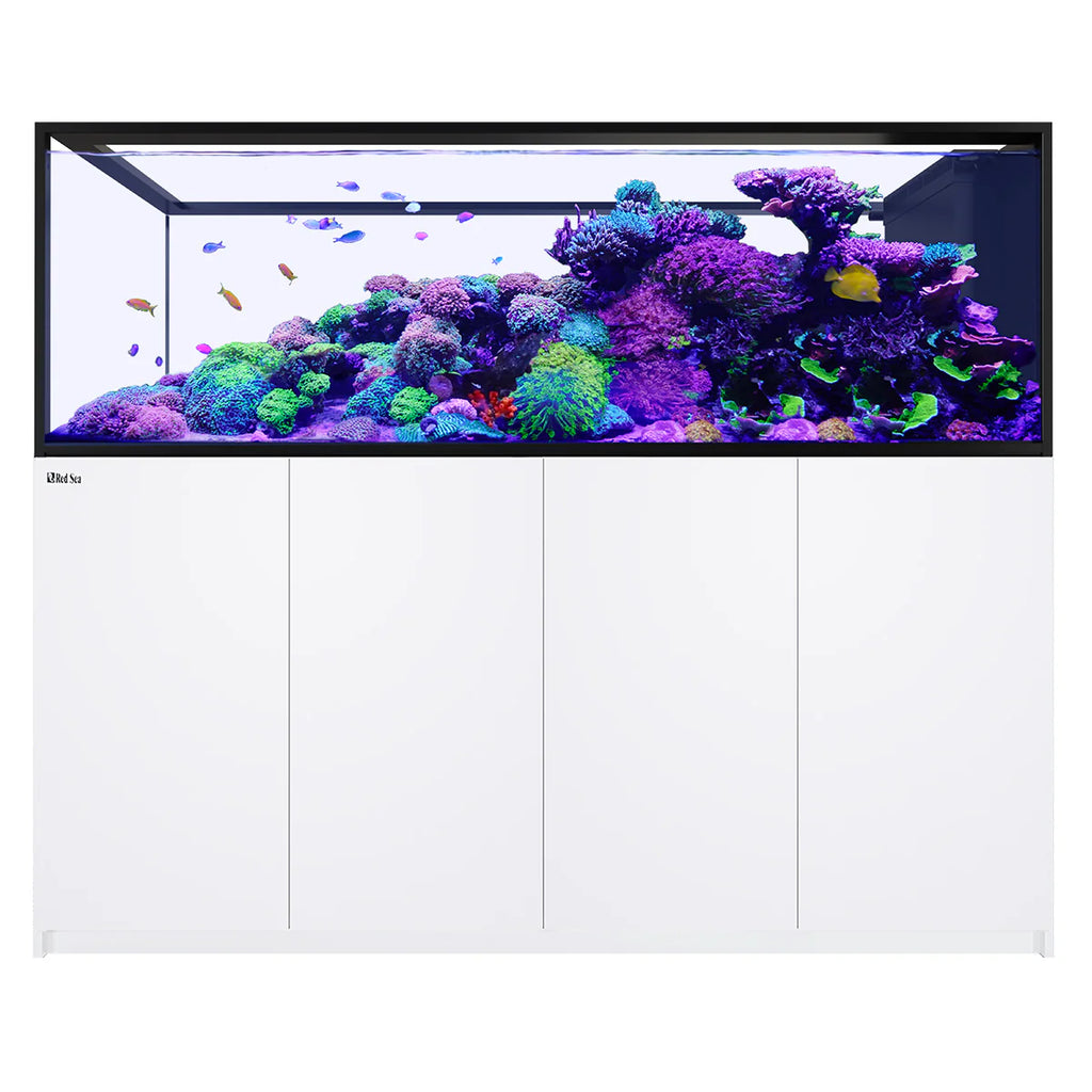 REEFER Peninsula S 950 G3 White