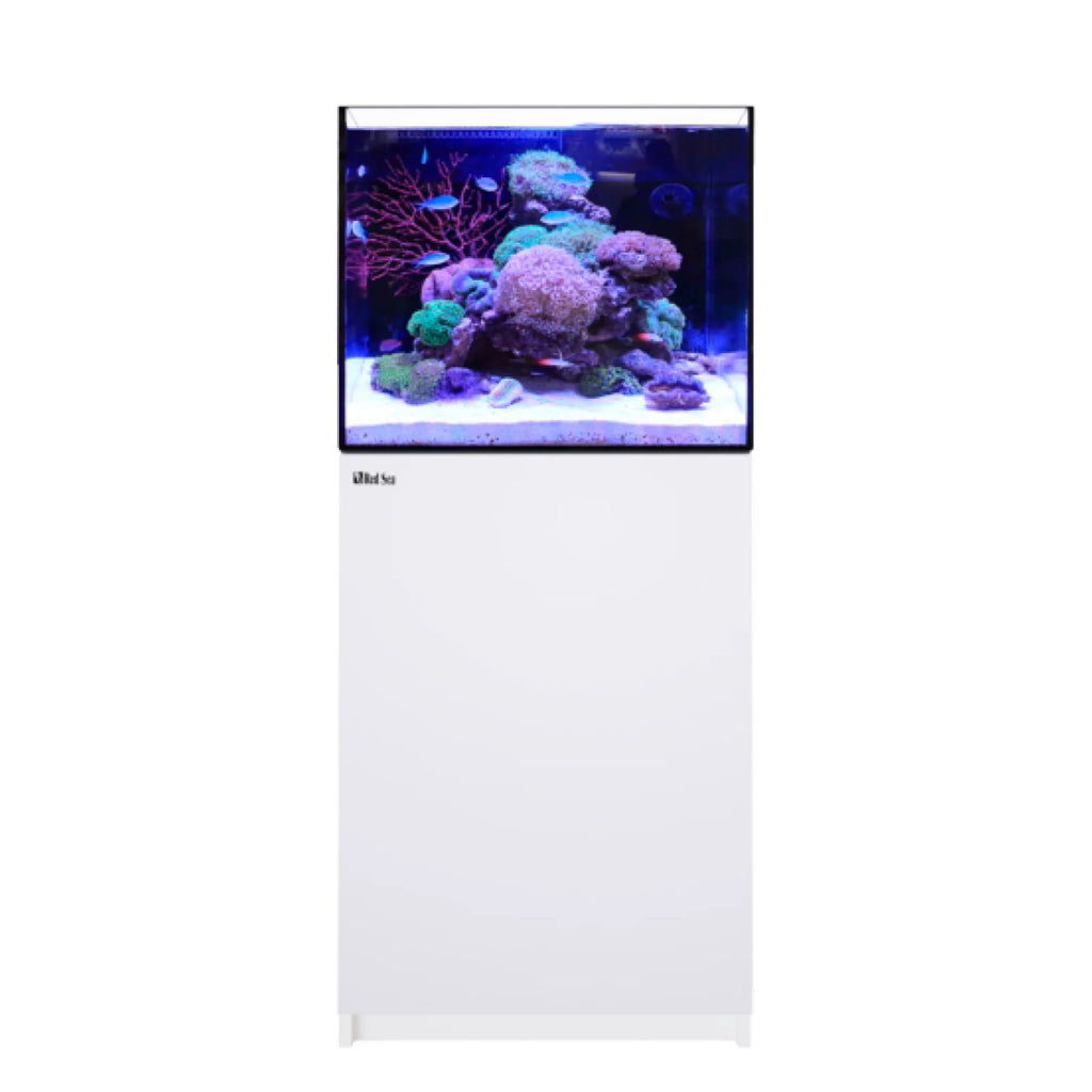 REEFER 170 G3 Deluxe - White (incl. 1 X RL115 & arm)