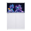 REEFER 250 G3 Deluxe - White (incl. 2 X RL115 & arms)