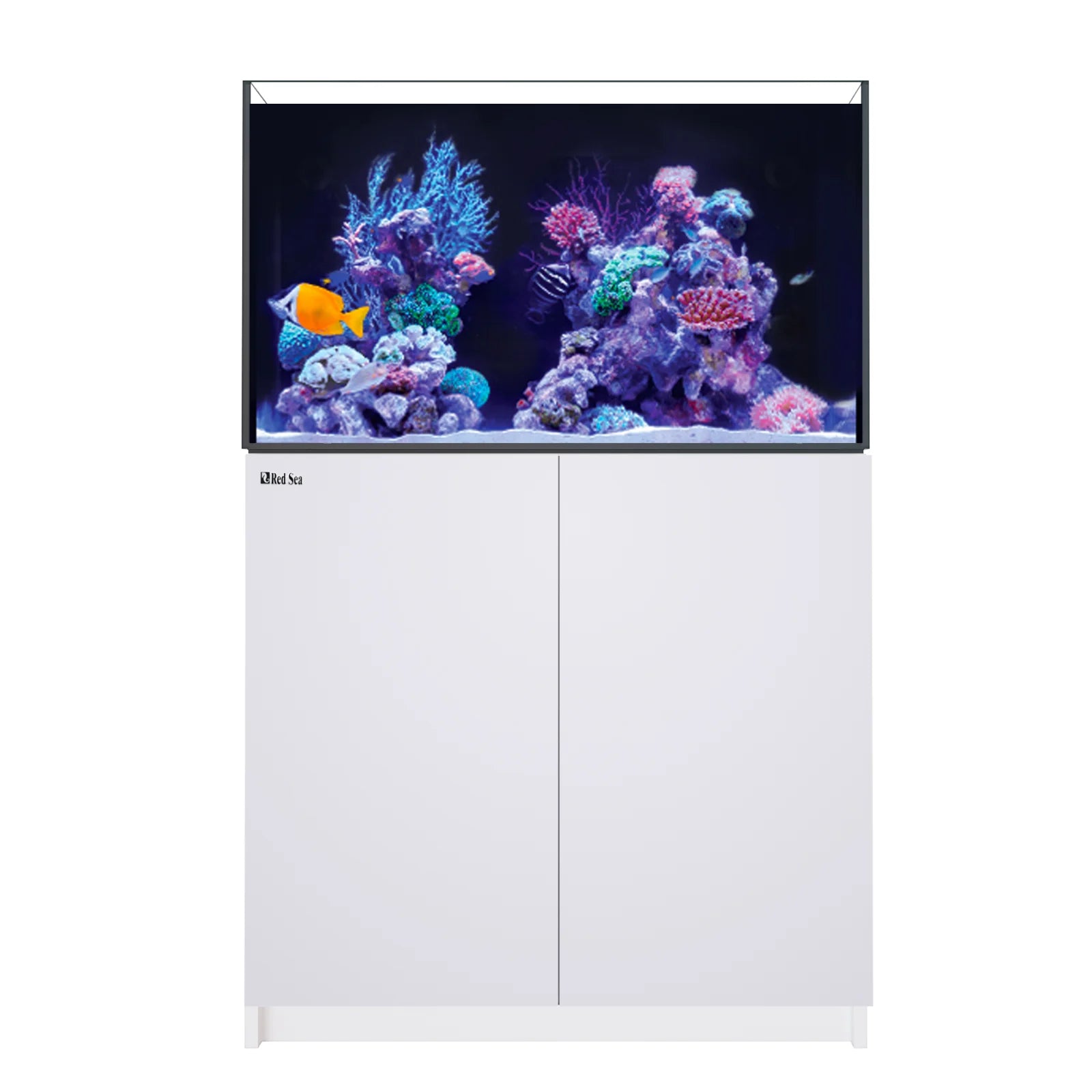 REEFER 250 G3 White